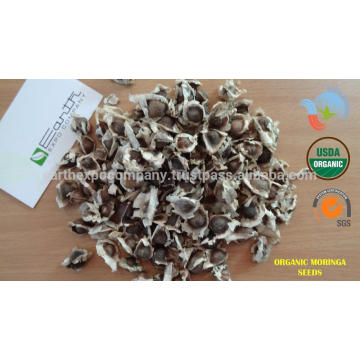 Organic Moringa seeedsfor oil press